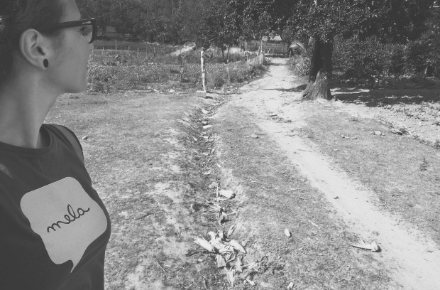 Tobacco Farm, Vinales